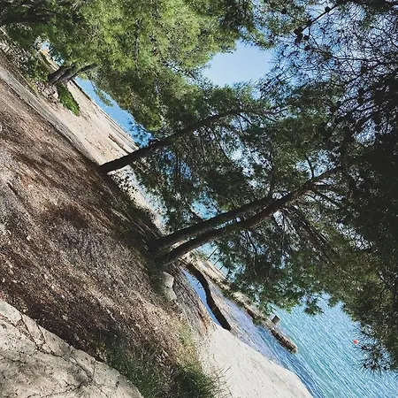 别墅 M&m - Sea And Within 35 Steps 扎博里克