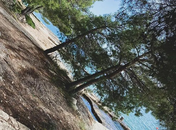 Villa M&m - Sea And Within 35 Steps Žaborić